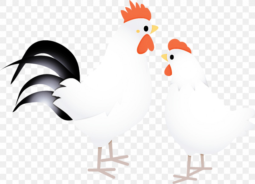 Chicken Rooster Bird Beak Comb, PNG, 1041x753px, Chicken, Beak, Bird, Comb, Fowl Download Free