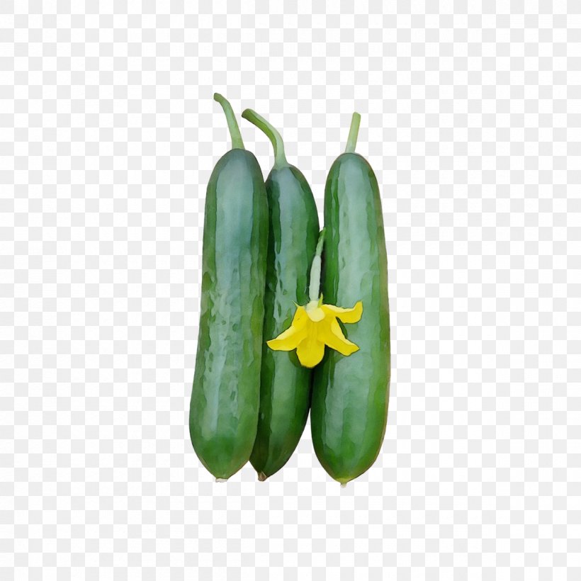 Flowering Plant Plant Vegetable Bell Peppers And Chili Peppers Yellow, PNG, 1200x1200px, Watercolor, Bell Peppers And Chili Peppers, Chili Pepper, Cucumber, Flower Download Free