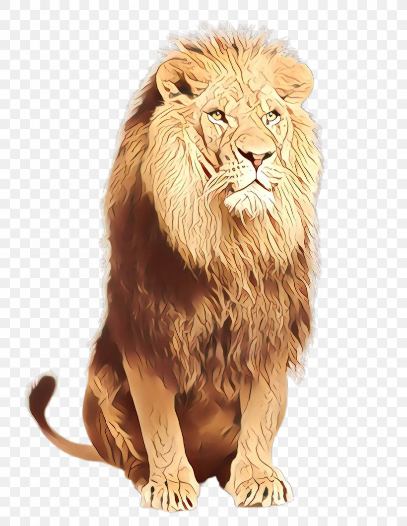 Lion Masai Lion Wildlife Roar, PNG, 1759x2272px, Lion, Masai Lion, Roar, Wildlife Download Free