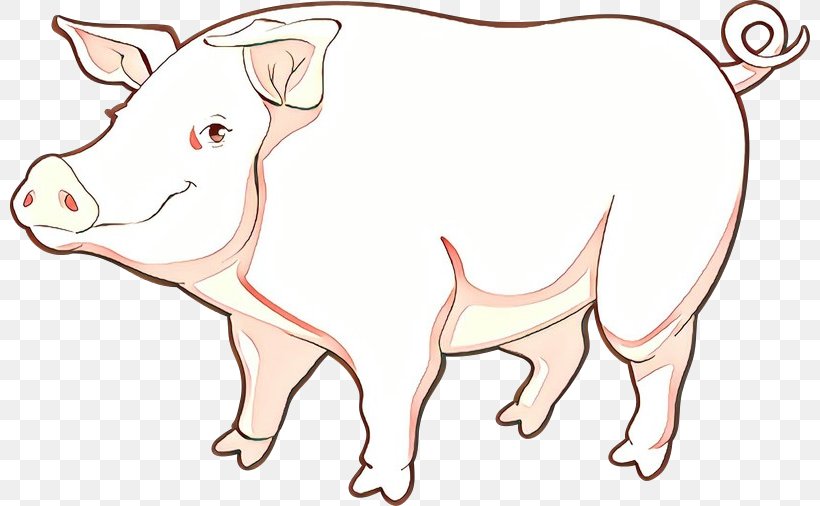Domestic Pig Line Art Suidae Snout Cartoon, PNG, 800x506px, Cartoon, Animal Figure, Bovine, Domestic Pig, Line Art Download Free