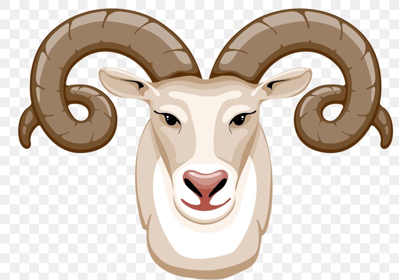 Goat Sheep Christmas Clip Art, PNG, 800x575px, Goat, Cattle Like Mammal, Christmas, Christmas Card, Cow Goat Family Download Free