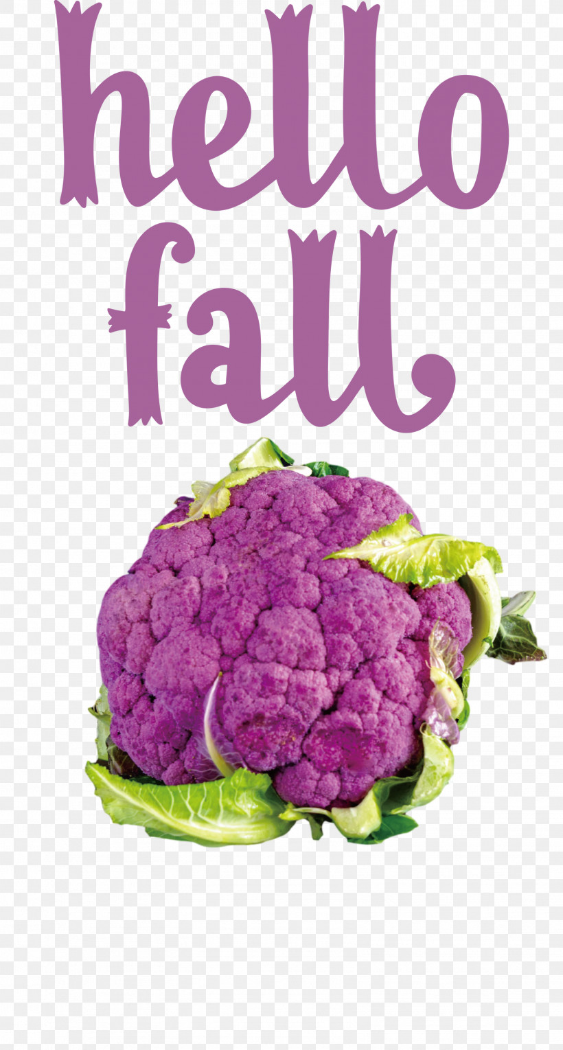 Hello Fall Fall Autumn, PNG, 1608x3000px, Hello Fall, Autumn, Beet, Beetroot, Cauliflower Download Free