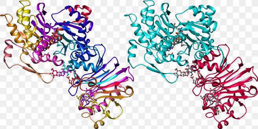 Macromolecule Protein Nucleic Acid Chemistry, PNG, 2922x1465px, Watercolor, Cartoon, Flower, Frame, Heart Download Free