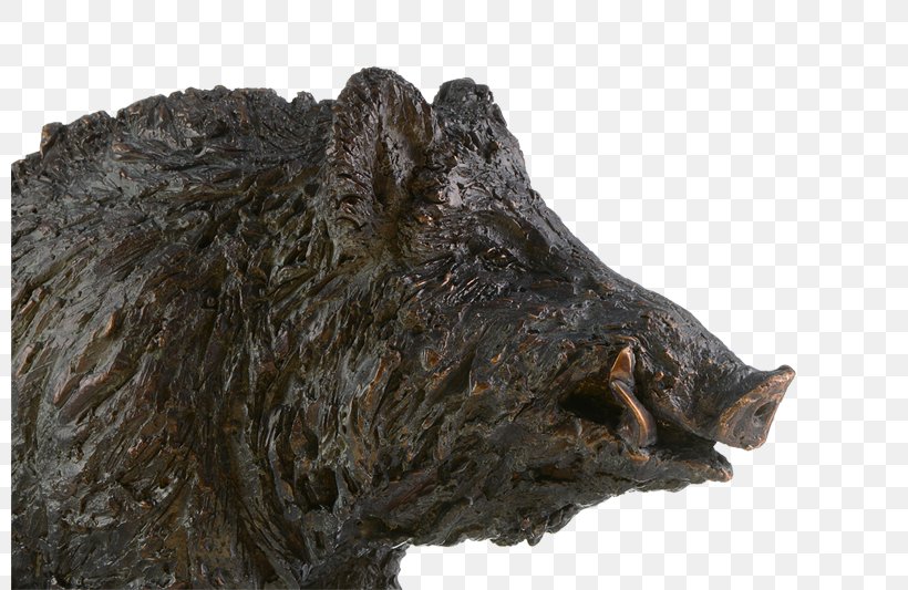 Bronze Sculpture Wild Boar Kunstmalerin & Bildhauerin Gabriele Haslinger, PNG, 800x533px, Bronze Sculpture, Beauty, Bronze, Fauna, Kilogram Download Free