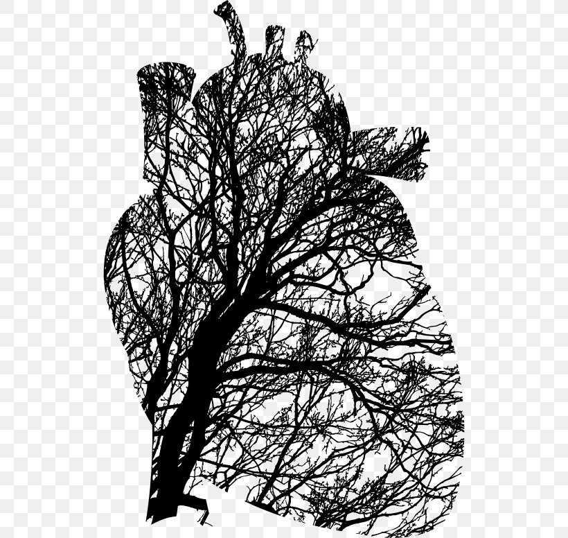 Heart Tree Branch Cardiovascular Disease Clip Art, PNG, 522x776px, Heart, Aorta, Black And White, Branch, Cardiovascular Disease Download Free
