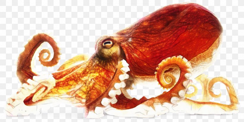 Octopus Cartoon, PNG, 1400x700px, Animal, Dolphin, Giant Pacific Octopus, Giant Panda, Linkedin Download Free