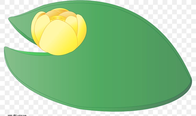 Pond Cartoon, PNG, 789x487px, Water Lilies, Ball, Blog, Green, Oval Download Free