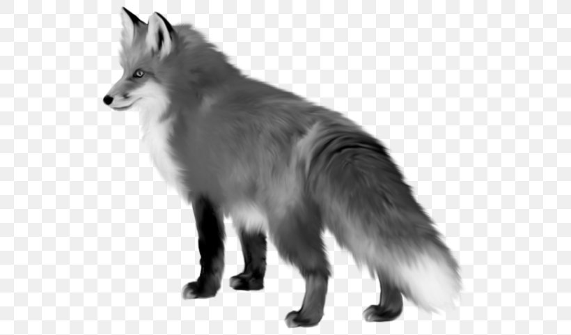 Red Fox Clip Art, PNG, 550x481px, Red Fox, Animal, Black And White, Carnivoran, Dog Breed Download Free