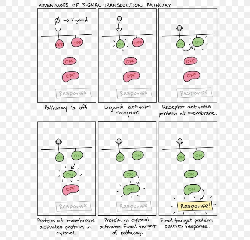 Signal Transduction Cell Signaling Receptor, PNG, 2463x2371px, Signal Transduction, Area, Biological Pathway, Cell, Cell Signaling Download Free