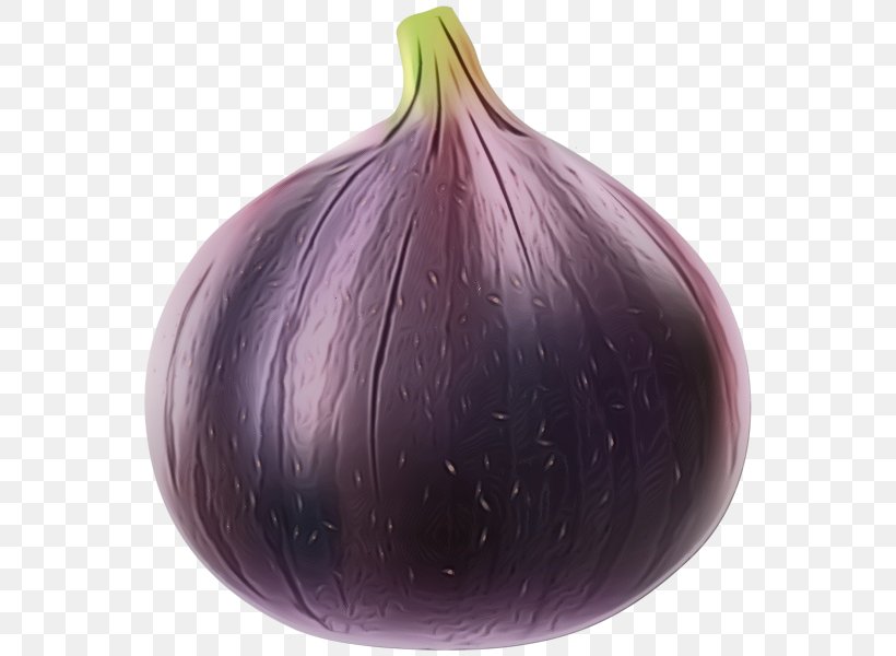 Watercolor Plant, PNG, 566x600px, Watercolor, Allium, Common Fig, Eggplant, Food Download Free