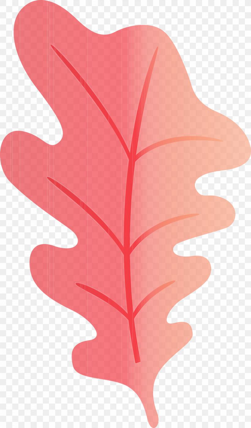 Leaf Flower Angle Line Tree, PNG, 1756x3000px, Oak Leaf, Angle, Biology, Flower, Geometry Download Free