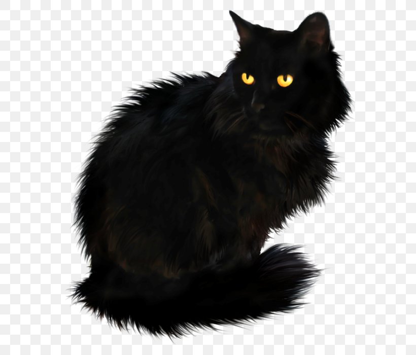 Persian Cat British Longhair Maine Coon Clip Art, PNG, 613x700px, Persian Cat, Asian Semi Longhair, Black, Black Cat, Bombay Download Free