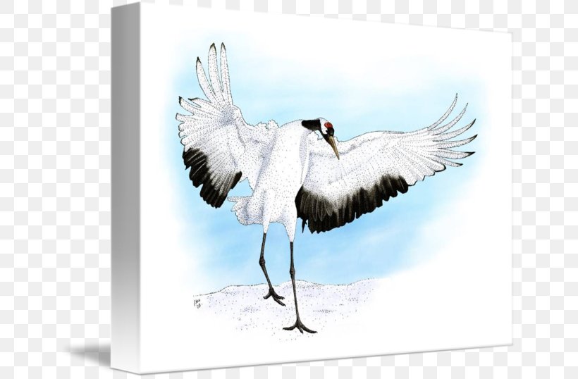 Red-crowned Crane Water Bird Beak, PNG, 650x538px, Crane, Art, Beak, Bird, Crane Like Bird Download Free