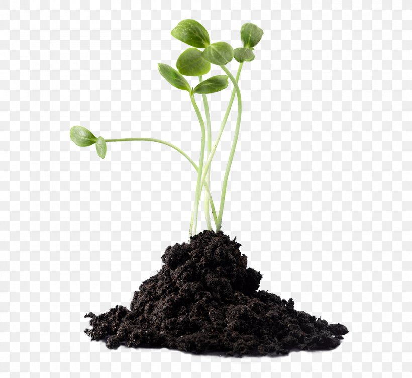 Soil Fertilisers Plants Nutrient, PNG, 950x872px, Soil, Aquarium Decor, Compost, Fertilisers, Flower Download Free