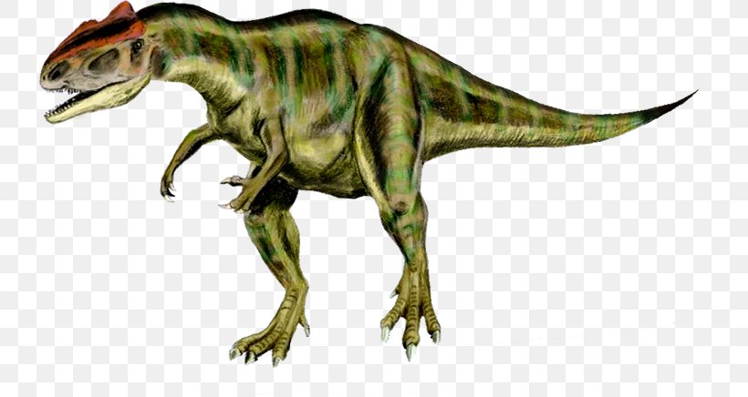 Tyrannosaurus Allosaurus Torvosaurus Acrocanthosaurus Theropods, PNG, 735x436px, Tyrannosaurus, Acrocanthosaurus, Allosauridae, Allosaurus, Carnosauria Download Free