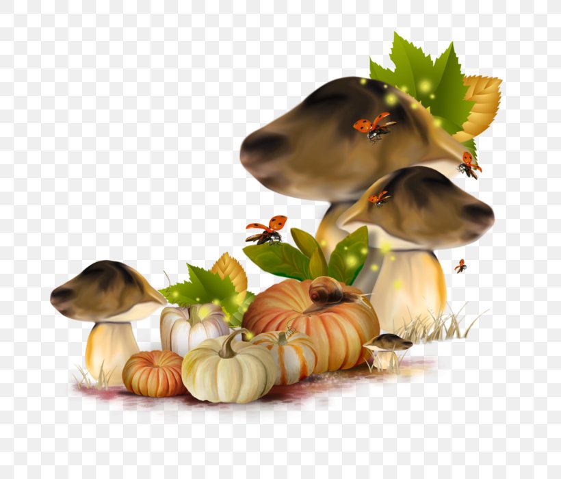 Autumn Mushroom Fungus Season Clip Art, PNG, 700x700px, Autumn, Blog, Brown Cap Boletus, Cream Of Mushroom Soup, Dog Breed Download Free