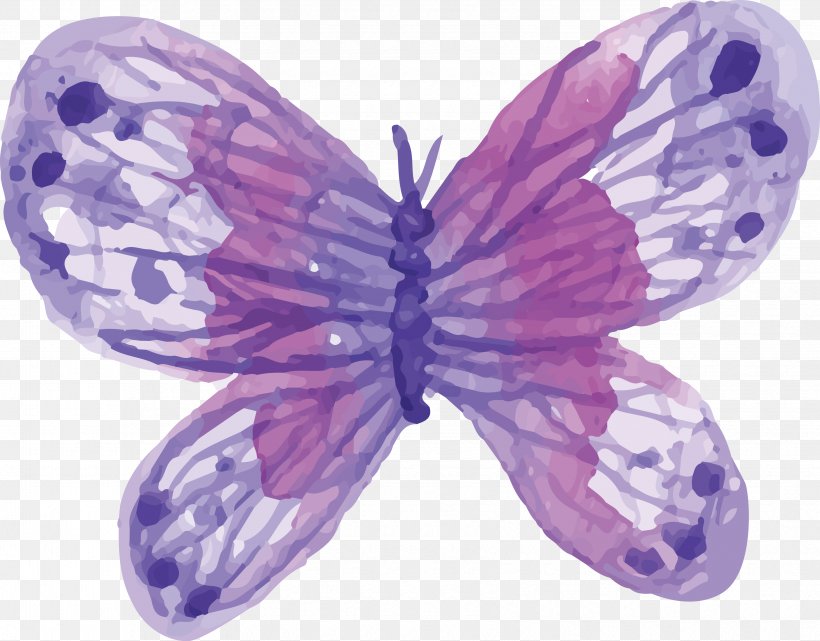 Butterfly Watercolor Painting, PNG, 3410x2668px, Butterfly, Cdr, Color, Insect, Invertebrate Download Free