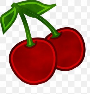 Prunus Drupe - Cherry Red Clip Art Plant Fruit PNG