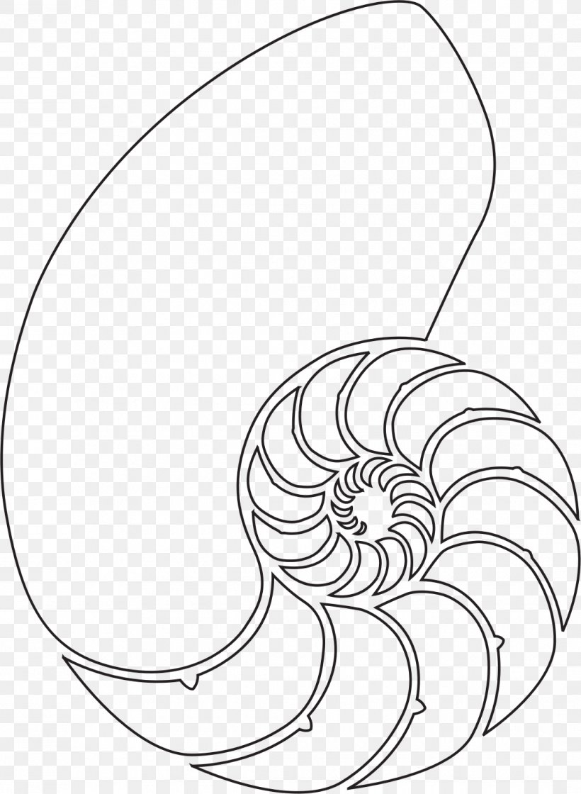 Nautilidae Seashell Drawing Clip Art, PNG, 1070x1462px, Nautilidae, Area, Artwork, Black And White, Chambered Nautilus Download Free