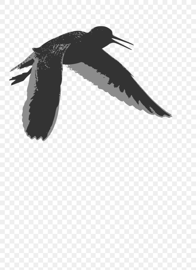 Bird Wader Common Redshank Penguin Clip Art, PNG, 800x1131px, Bird, Animal, Beak, Black And White, Charadriiformes Download Free