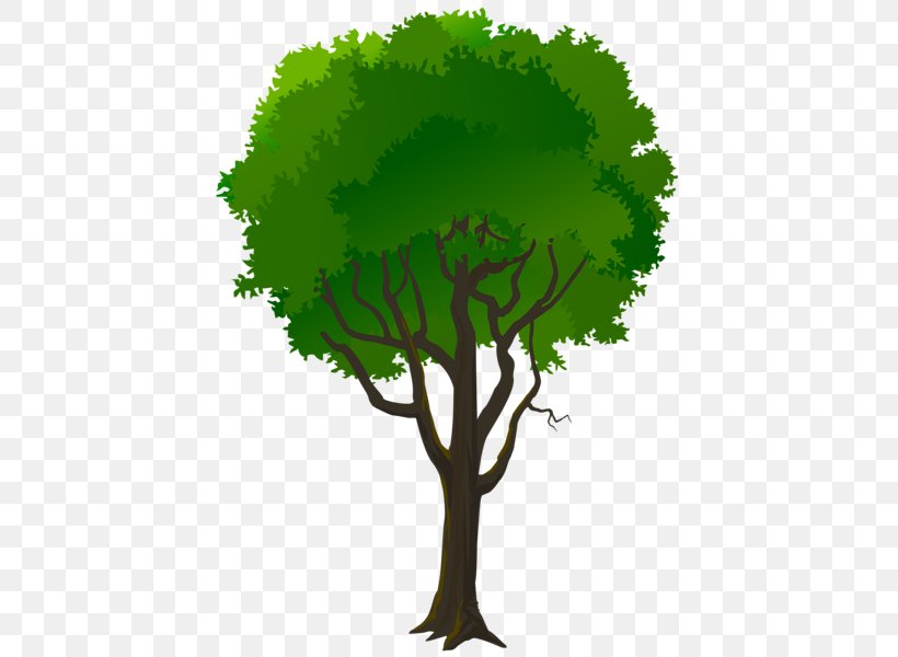 Clip Art, PNG, 431x600px, Tree, Branch, Grass, Green, Leaf Download Free