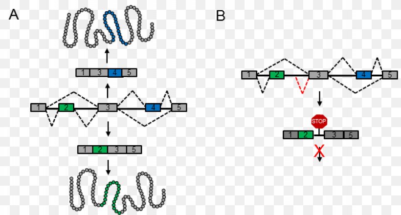 Line Point Mode Of Transport, PNG, 2250x1210px, Point, Area, Diagram, Mode Of Transport, Parallel Download Free