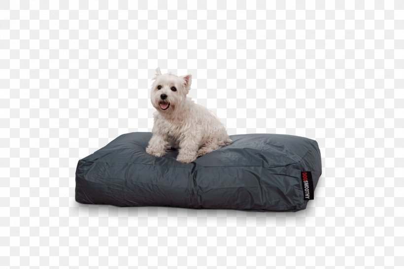 West Highland White Terrier Pillow Puppy Bed Mattress, PNG, 1815x1210px, West Highland White Terrier, Bed, Bedding, Canidae, Comfort Download Free