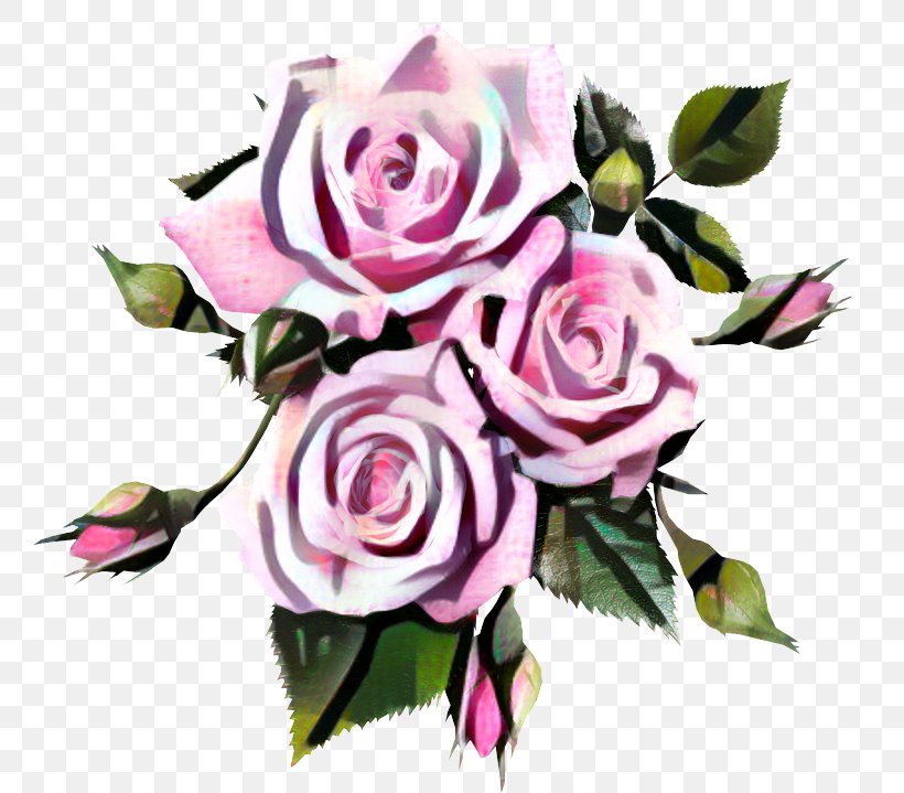 Rose Pink Image Flower, PNG, 759x719px, Rose, Botany, Bouquet, Cut Flowers, Floribunda Download Free