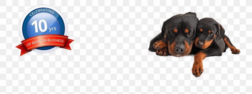 Rottweiler Pet Sitting Puppy Dog Grooming Microchip Implant, PNG, 1170x438px, Rottweiler, Bark, Crate Training, Dog, Dog Daycare Download Free