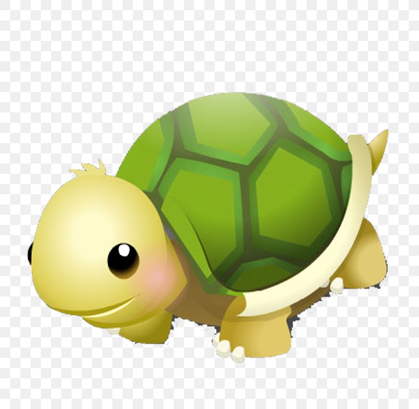 Turtle Tortoise Cartoon Drawing, PNG, 800x800px, Turtle, Cartoon, Drawing, Green, Organism Download Free