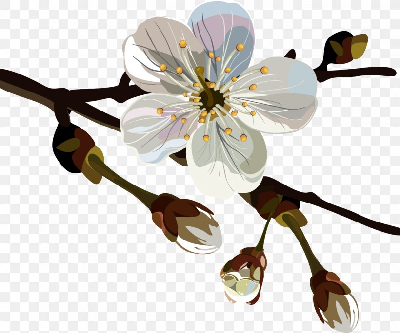 Chimonanthus Praecox Flower Oil Painting Plum Blossom, PNG, 1441x1203px, Chimonanthus Praecox, Art, Blossom, Branch, Cherry Blossom Download Free