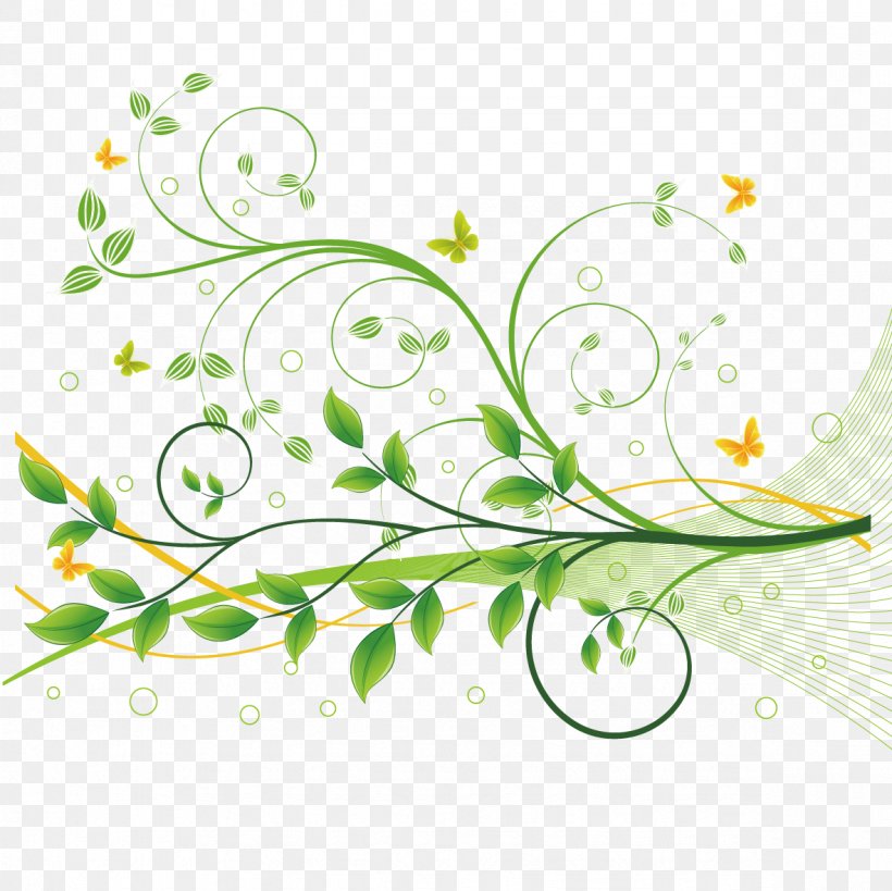 Flower Green Floral Design, PNG, 1181x1181px, Flower, Branch, Curve, Drawing, Flora Download Free