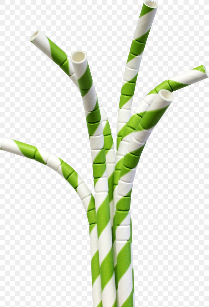 Paper Drinking Straw Plastic, PNG, 2001x2937px, Paper, Biodegradation, Drink, Drinking, Drinking Straw Download Free
