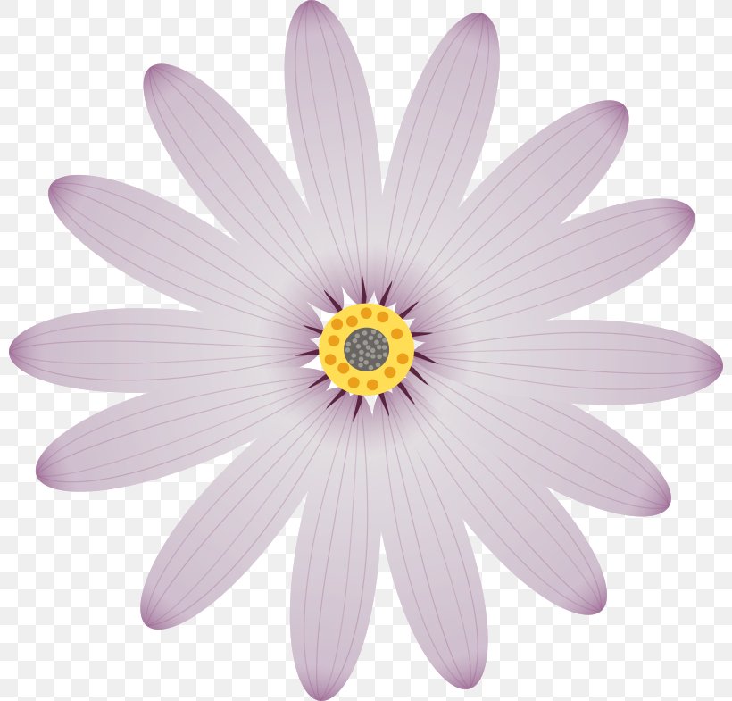 Petal Flower Clip Art, PNG, 800x785px, Petal, Byte, Color, Daisy Family, Flower Download Free