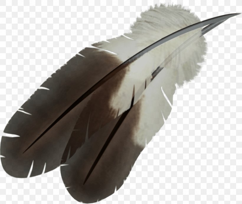 Feather Clip Art, PNG, 850x717px, Feather, Archive File, Digital Image, Eagle Feather Law, Image File Formats Download Free