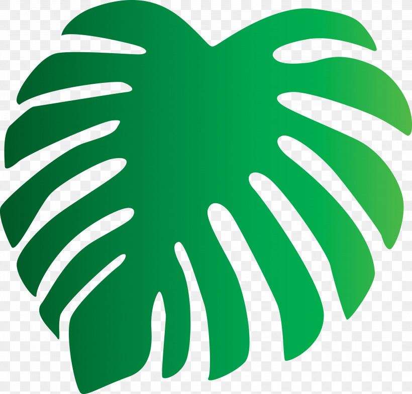 Monstera Tropical Leaf, PNG, 3000x2872px, Monstera, Biology, Geometry, Green, Leaf Download Free