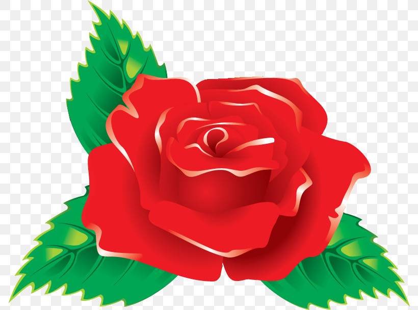 One Flower One Rose Valentines Day, PNG, 788x608px, One Flower, Artificial Flower, Cut Flowers, Flower, Garden Roses Download Free