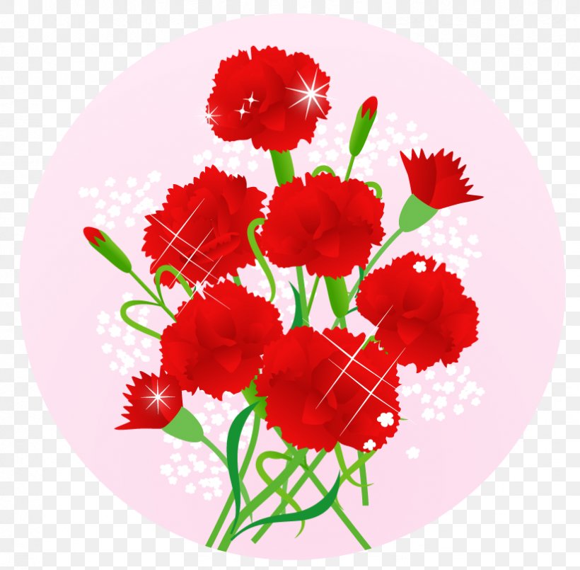 Carnation Mother's Day Cut Flowers 舞妓の茶本舗, PNG, 823x808px, 2017, 2018, Carnation, Annual Plant, Christmas And Holiday Season Download Free