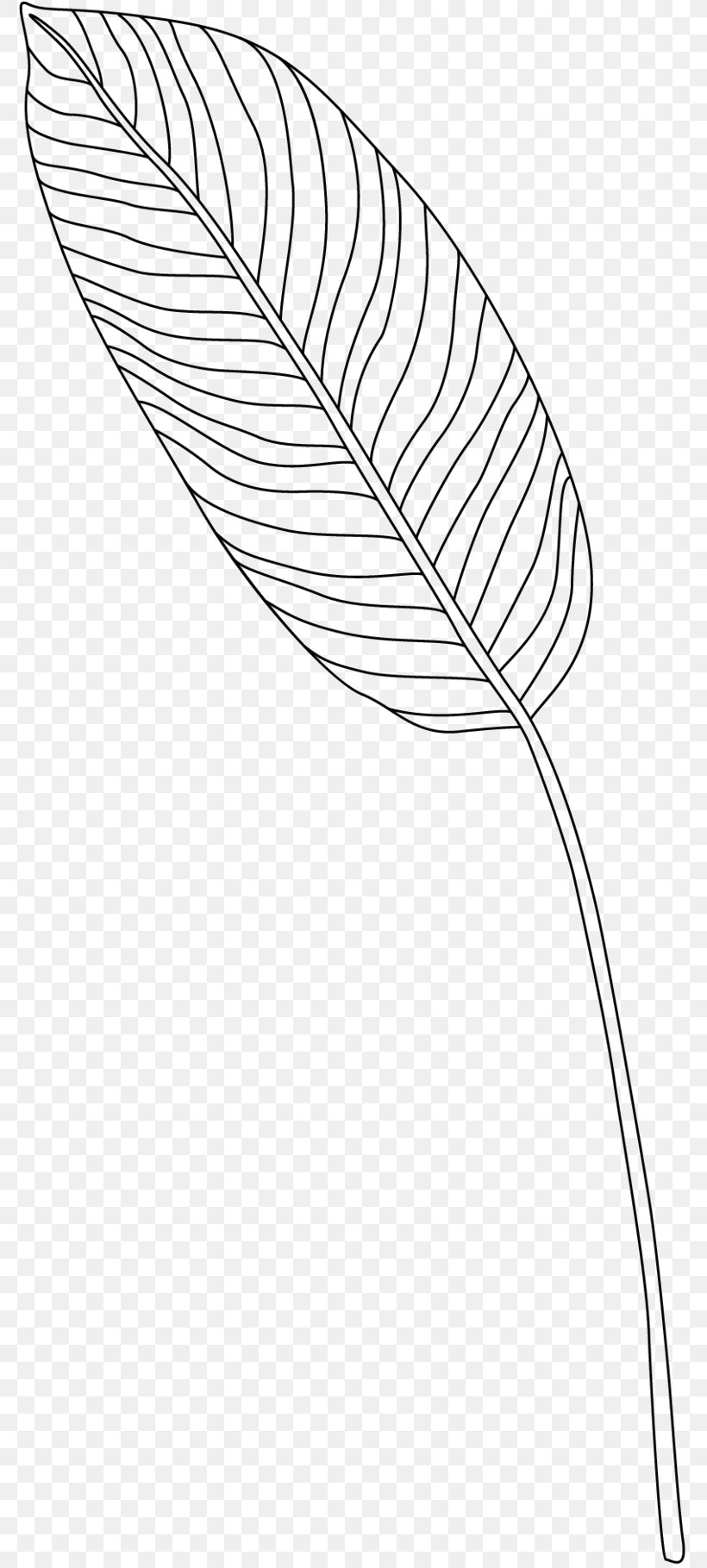 Bomenwandeling /m/02csf Klapwijk Line Art Product, PNG, 788x1819px, M02csf, Blackandwhite, Drawing, Environmental Protection, Feather Download Free