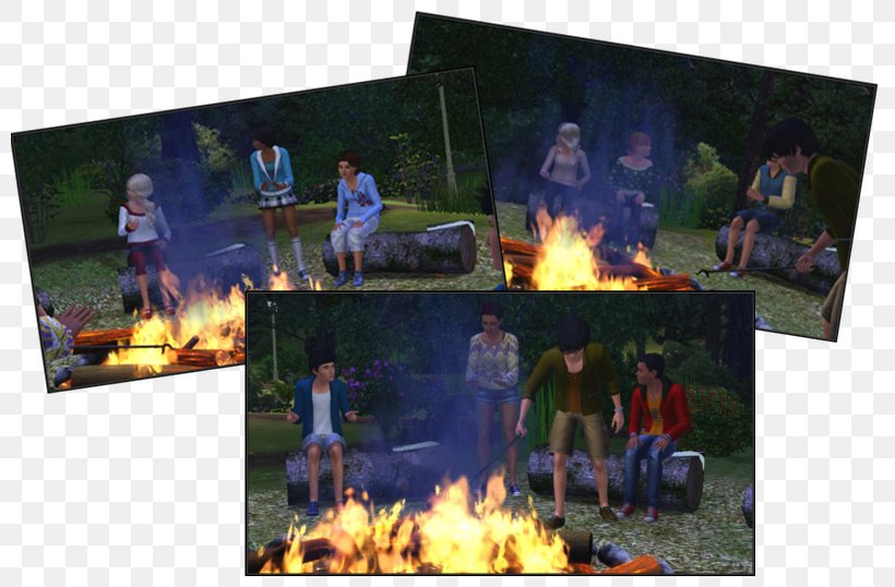 Campfire Recreation, PNG, 800x538px, Campfire, Heat, Recreation Download Free