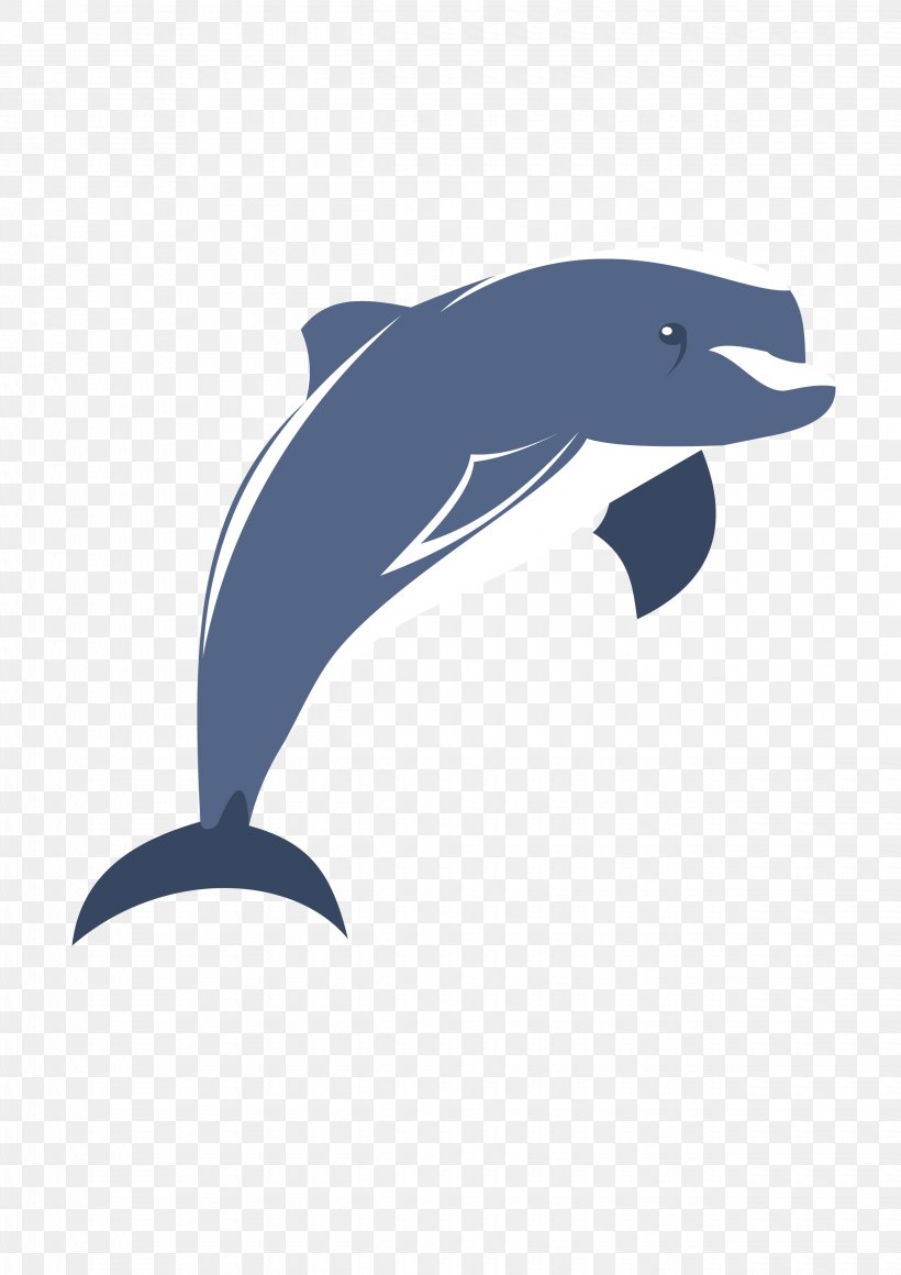 Common Bottlenose Dolphin Tucuxi Wholphin Short-beaked Common Dolphin Porpoise, PNG, 2480x3509px, Common Bottlenose Dolphin, Beak, Cartoon, Dolphin, Fauna Download Free