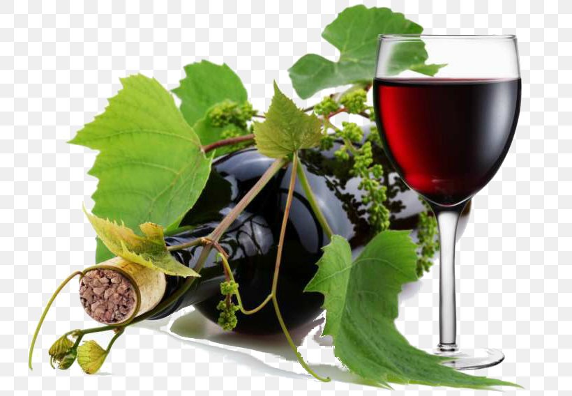 Common Grape Vine Wine Viticulture Propineb, PNG, 800x568px, Common Grape Vine, Bordeaux Mixture, Chlorothalonil, Drink, Food Download Free