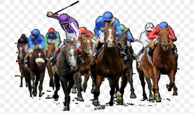 Horse Racing The Grand National Greeting & Note Cards, PNG, 700x485px, Horse, Aintree Racecourse, Animal Sports, Birthday, Equestrian Download Free