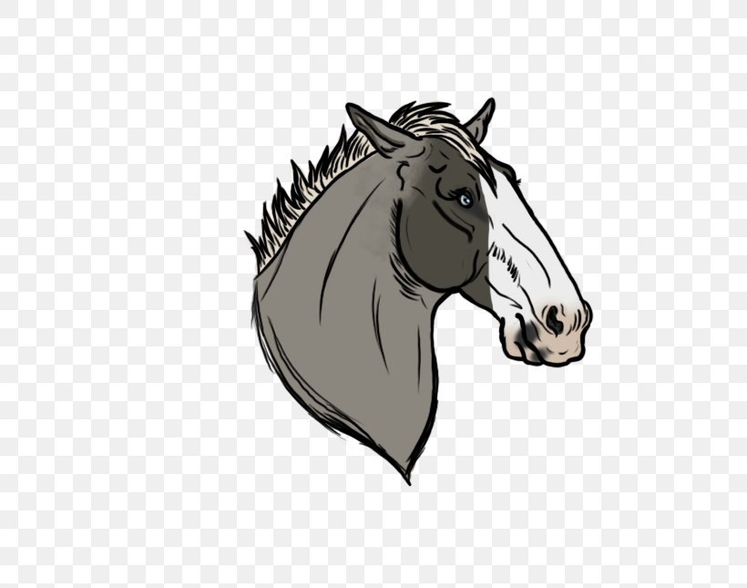 Mane Stallion Mustang Bridle Donkey, PNG, 607x645px, Mane, Black, Black And White, Bridle, Colt Download Free