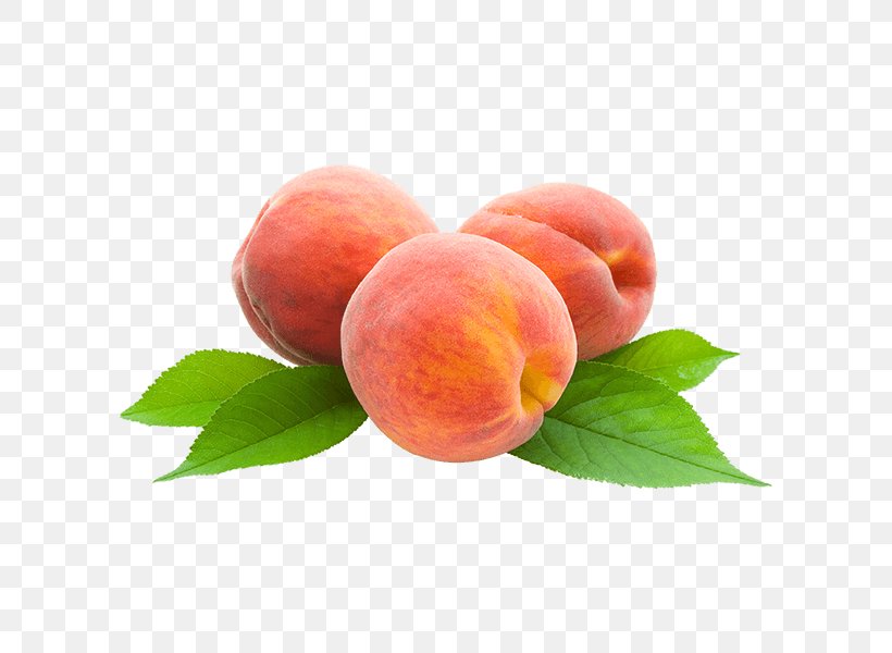 Peaches And Cream Juice Fruit Food, PNG, 600x600px, Peach, Almond, Apricot, Cherry, Corn On The Cob Download Free