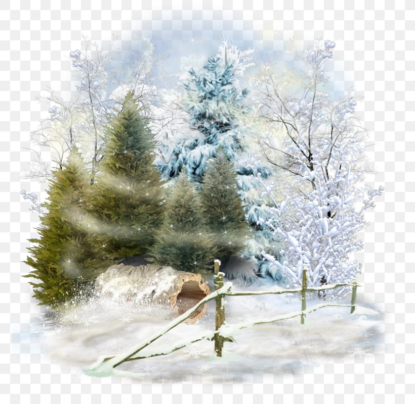 Spruce Winter Desktop Wallpaper Snow Landscape, PNG, 774x800px, Spruce, Branch, Christmas Decoration, Christmas Ornament, Christmas Tree Download Free