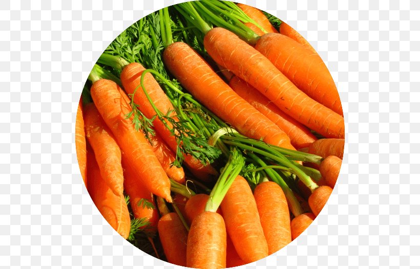 Food Carrot Juice Seed Turkey, PNG, 526x526px, Food, Baby Carrot, Capsicum, Carrot, Carrot Juice Download Free