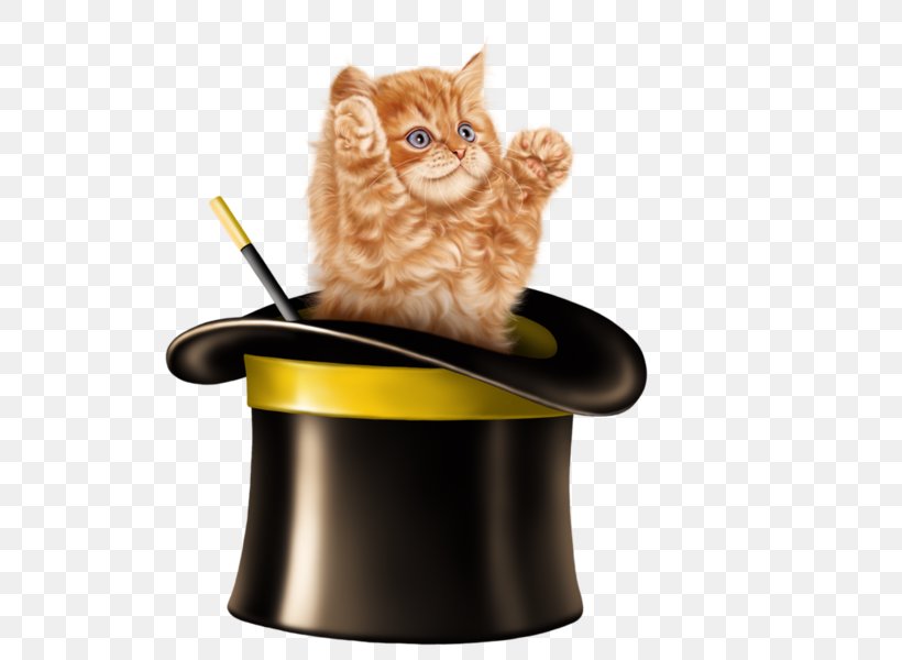 Kitten Cat Whiskers Clip Art, PNG, 600x600px, Kitten, Animal, Art, Black Cat, Blog Download Free