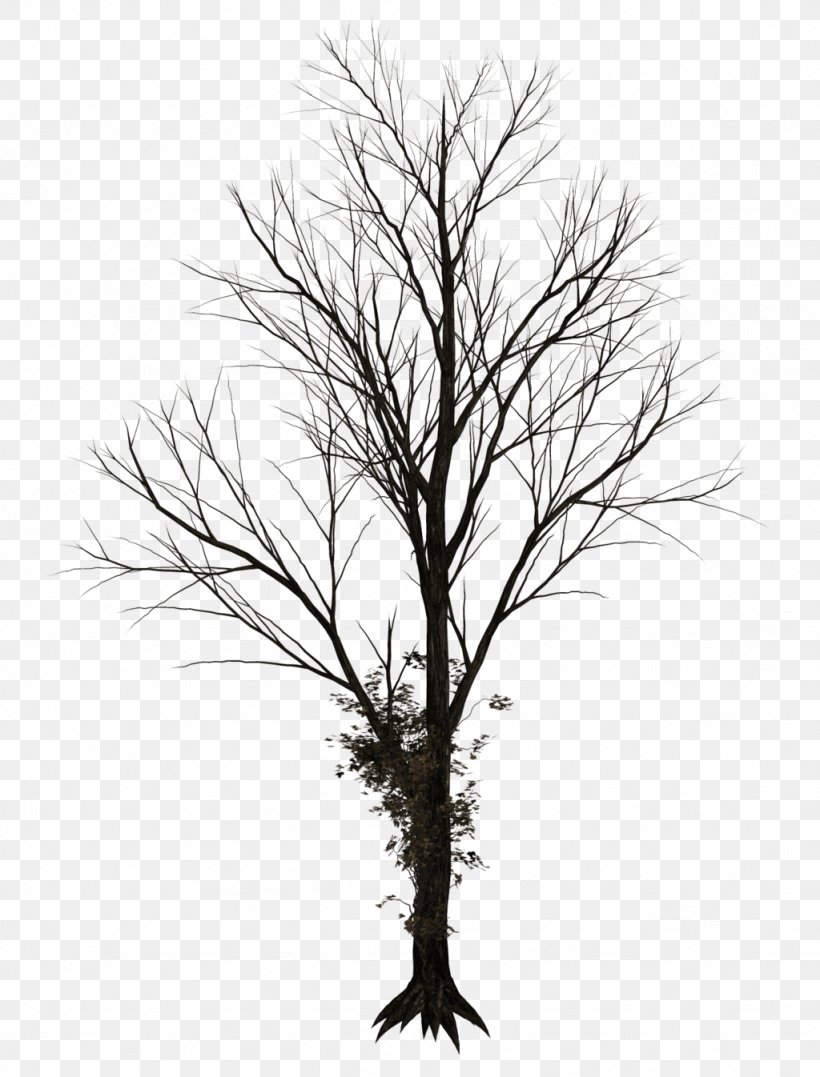 Tree Drawing Clip Art, PNG, 1024x1346px, Tree, Black And White, Branch, Color, Drawing Download Free