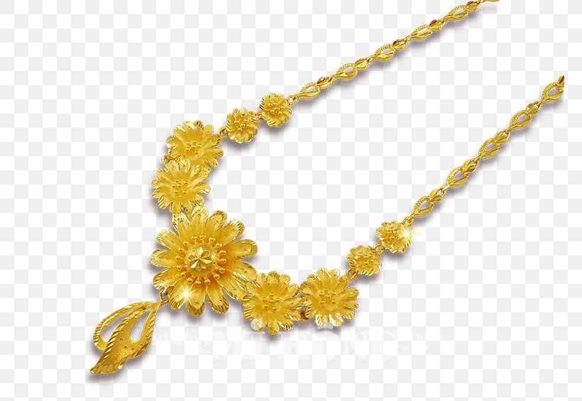 Amber Body Jewellery Necklace, PNG, 770x565px, Amber, Body Jewellery, Body Jewelry, Chain, Fashion Accessory Download Free